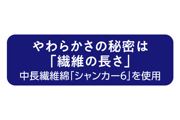 インド綿半袖Ｔシャツメンズ