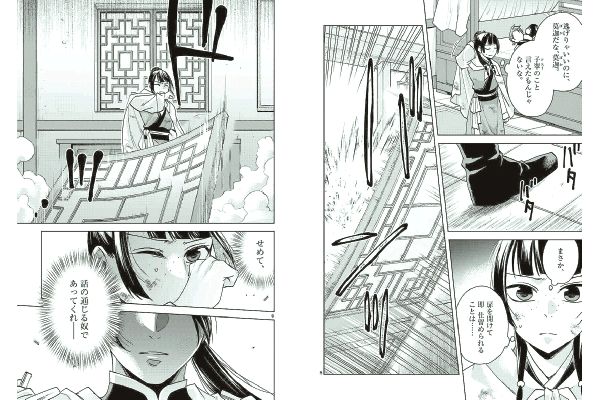 薬屋のひとりごと〜猫猫の後宮謎解き手帳〜 １９