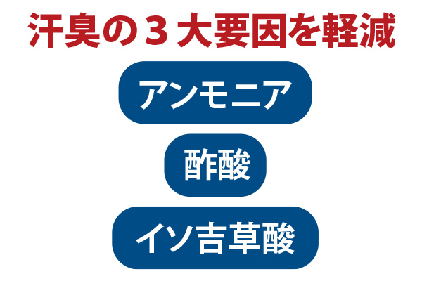 消臭わた使用まくら