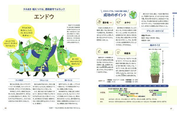 深町貴子のプランター菜園スタートＢＯＯＫ