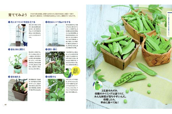 深町貴子のプランター菜園スタートＢＯＯＫ