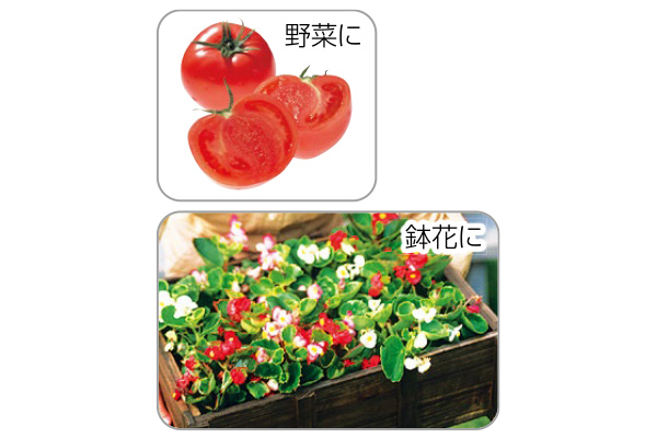 植物活力ＨＢ-１０１