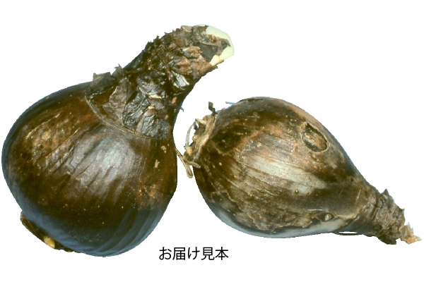 黄金まんじゅしゃげ