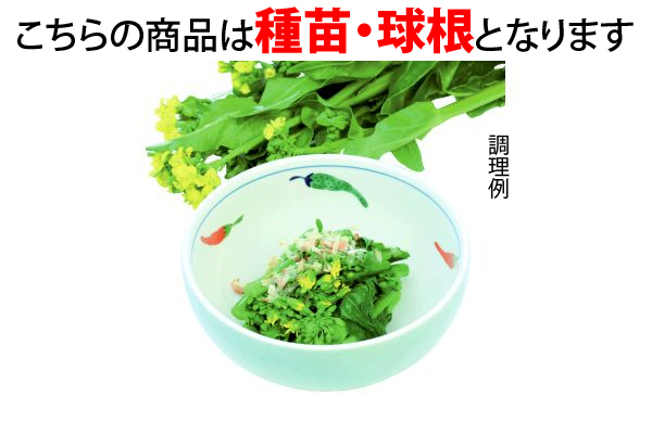 アスパラ風味のオータムポエム