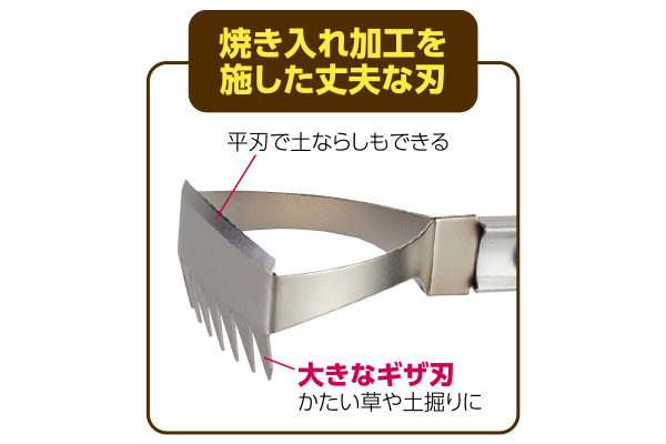 長柄　ごそっと草とれ太