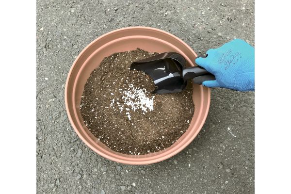 花と緑を育てる元肥