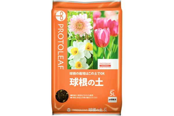球根の土