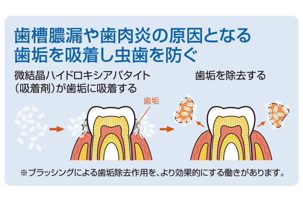 薬用歯みがき 天然優選Apa15
