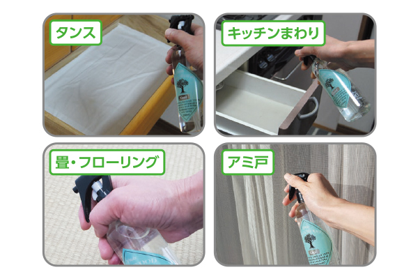 ヒバウッドクール