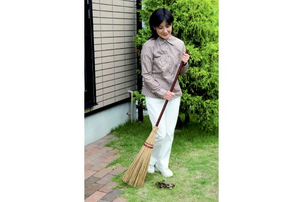 外苑ほうき