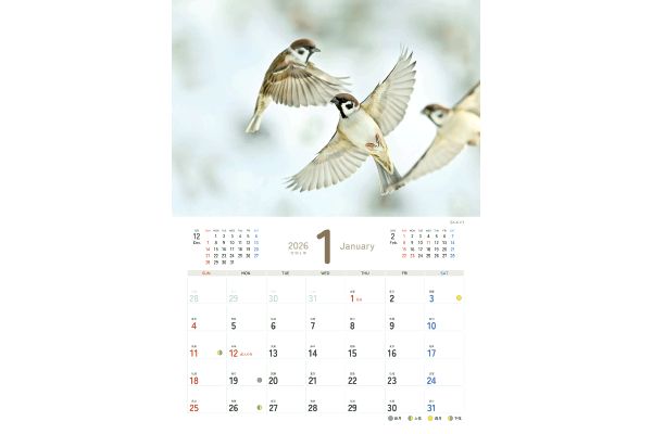 愛らしい鳥たちカレンダー