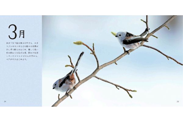 シマエナガさんの１２カ月［新装版］