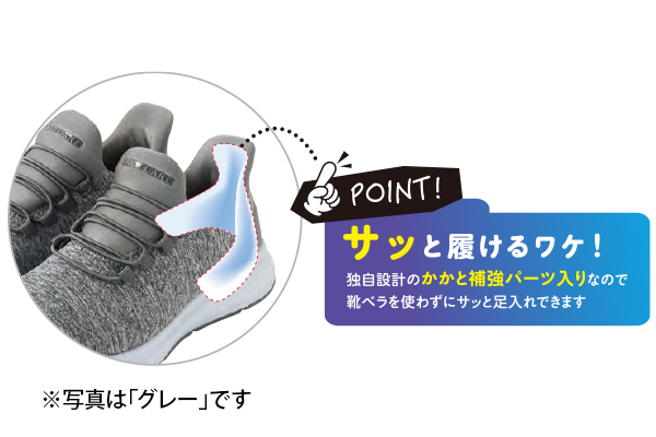 サッとインシューズ