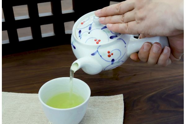 [有田焼]手描き点唐草急須