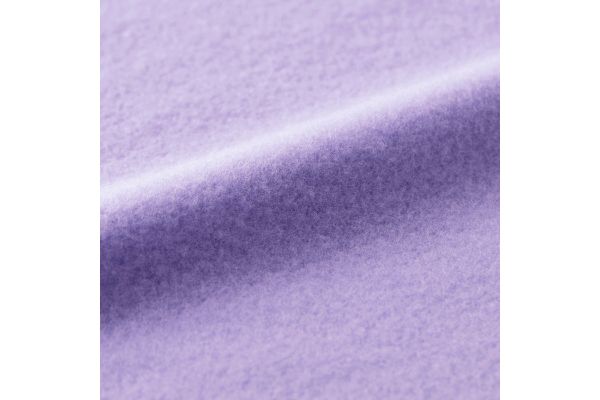 【ネット限定】裏起毛刺繍入り長袖ポロシャツ　　ＬＬ　ラベンダー