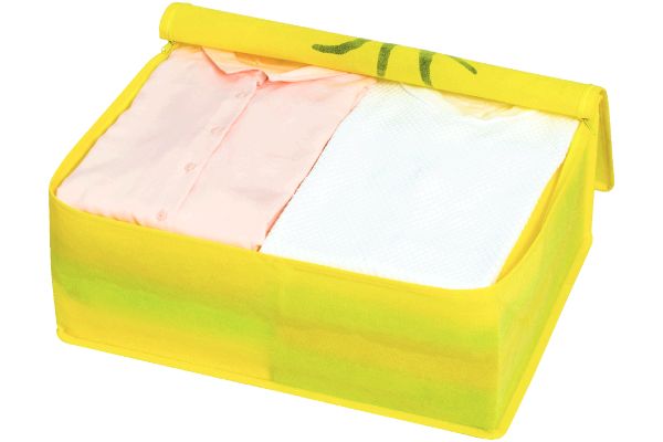 スヌーピー　ウッドストック　収納ケース