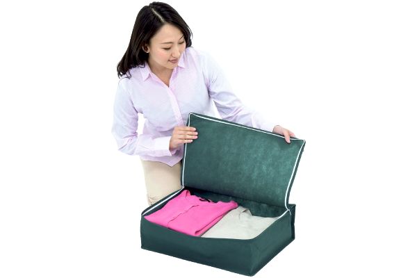 【ネット限定】シンプルな収納ケース　衣類用　　２枚組