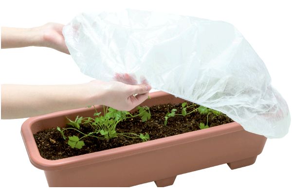 かんたん！虫よけ・霜よけプランターキャップＬ