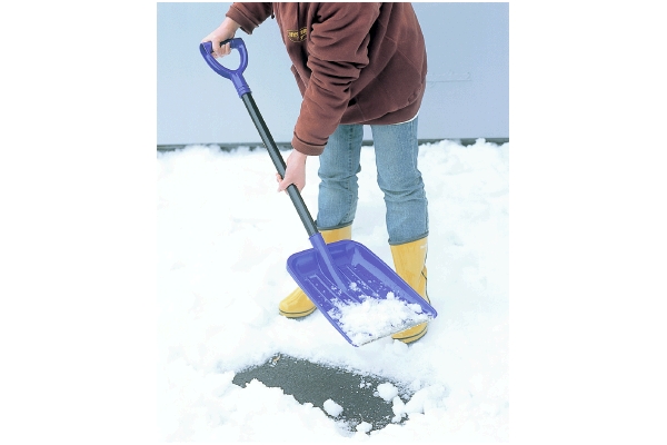 カルスコ６３５