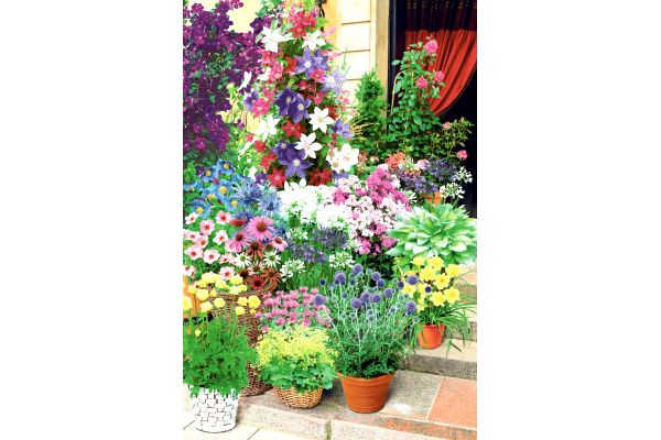 植えっぱなし　毎年花咲く宿根草