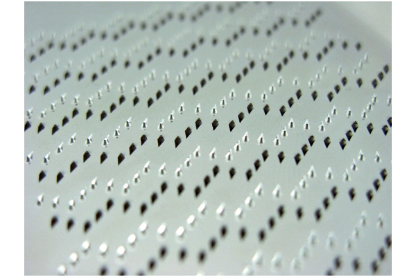 【ネット限定】ステンレス　わさびおろし　サメ吉