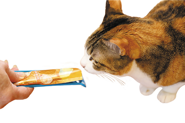 【ネット限定】スティックおやつ用フィーディングスプーン　（2個入）