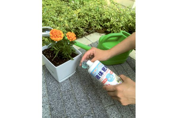 液体肥料　原液