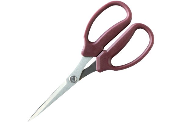 先細スパッと！キッチンはさみ