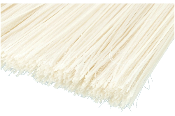 ニューブルロン（ほうき）