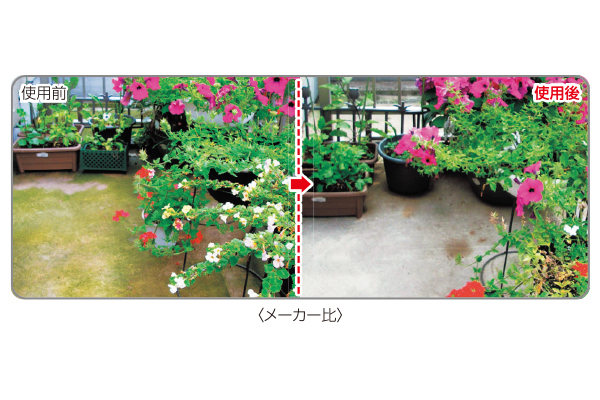 キエール　コケ・カビ