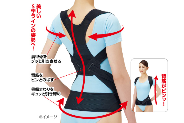 丸まった背中を起こす姿勢のサポーター