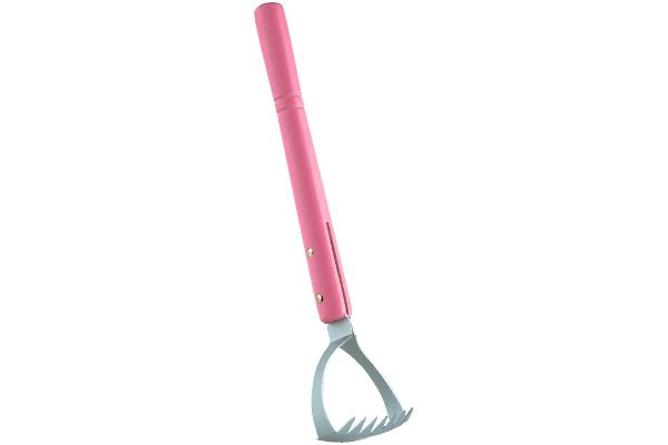 ごそっと草とれ太