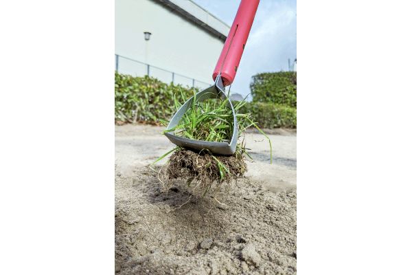 ごそっと草とれ太