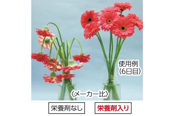 お花が長生きする栄養剤