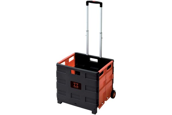 オリコンキャリー　大