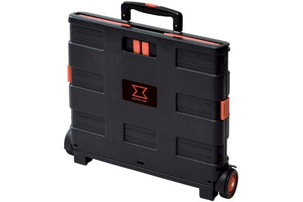 オリコンキャリー　大