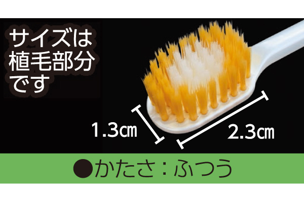 ［エビス］プレミアムケアハブラシ