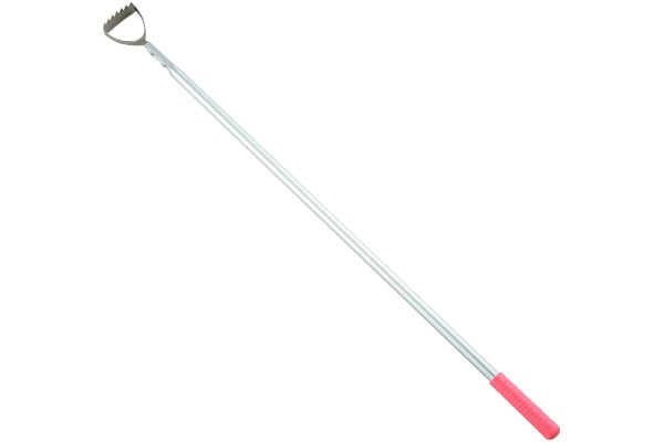 長柄　ごそっと草とれ太