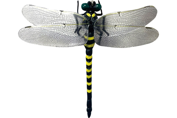 ビッグヤンマくん