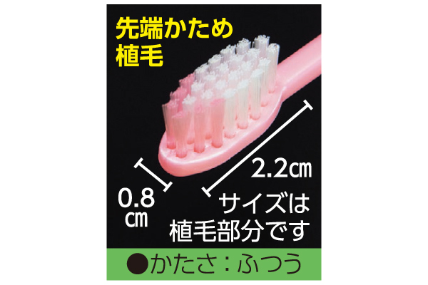 大人用ハブラシボリュームパック