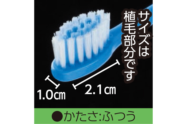 [COOP]ストレートハブラシレギュラー