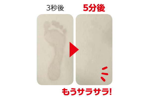 【ネット限定】さらっと快適　珪藻土バスマット　（L）　キャット