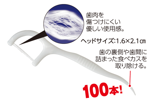 フレッシュ　フロスピック