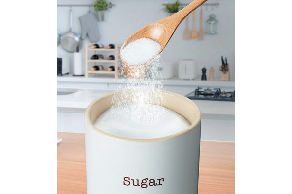 【ネット限定】［デリッシュライフ］シュガーポット　（３００ｍｌ）