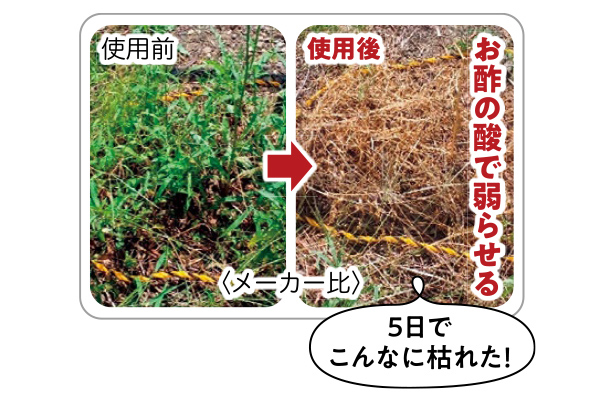 ［ＣＯＯＰ］お酢と重曹からできた除草剤