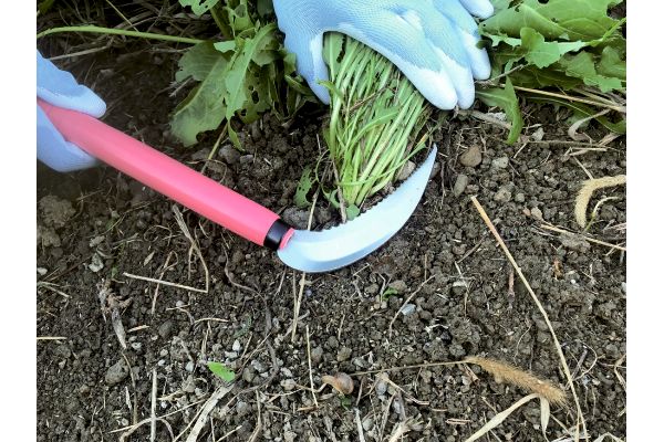 除草鎌　長柄