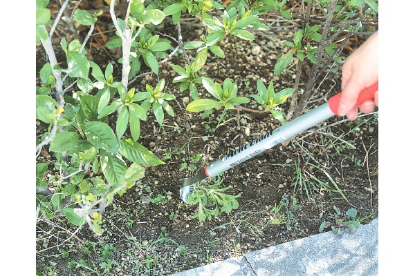 草取りヅメロング