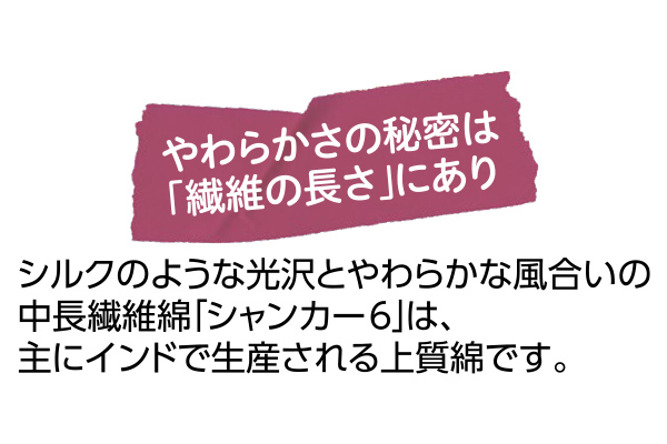 インド綿半袖Ｔシャツメンズ