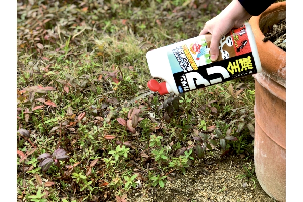 カダン　アリ全滅シャワー液