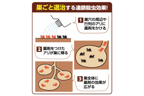 カダン　アリ全滅シャワー液
